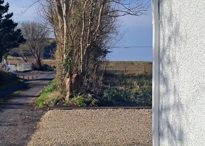 Blaneys Coastal Mountcharles